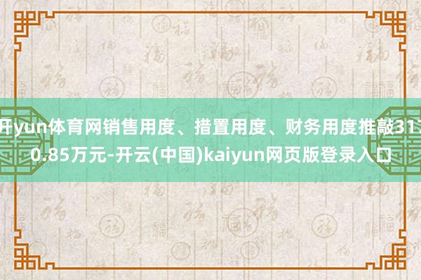 开yun体育网销售用度、措置用度、财务用度推敲3170.85万元-开云(中国)kaiyun网页版登录入口